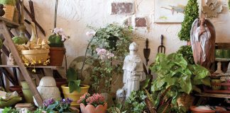 Shops We Love: The Tended Thicket