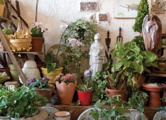Shops We Love: The Tended Thicket