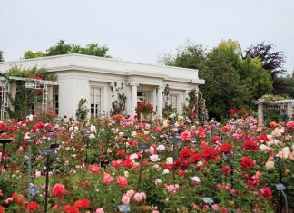 Imagine a garden that replicates the majesty of an illuminated manuscript or a Mary Cassatt portrait. Envision this and more at The Huntington.