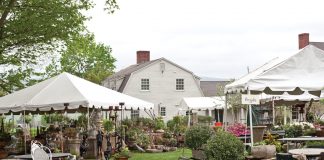 Trade Secrets, the mid-May plant sale, in Connecticut.