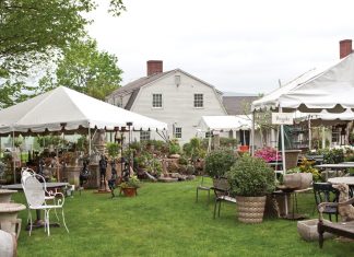 Trade Secrets, the mid-May plant sale, in Connecticut.