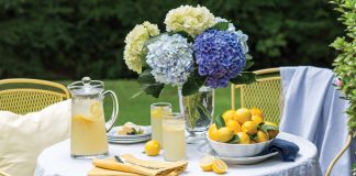 Sipping a perfectly sweetened glass of lemonade beneath a canopy of trees just might be the quintessential expression of summertime leisure. And with flavorful varieties from which to choose, the enjoyment can last all season long.