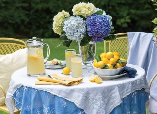 Sipping a perfectly sweetened glass of lemonade beneath a canopy of trees just might be the quintessential expression of summertime leisure. And with flavorful varieties from which to choose, the enjoyment can last all season long.