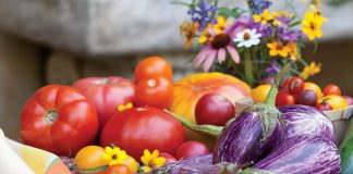 Celebrate the garden harvest in a tangled toss of color bursting with earthy goodness. Entwined in a mix of savory, tender pastas laced with fragrant herbs and plump vegetables, these tasty meals capture the ripe extravagance of the season.