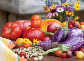Celebrate the garden harvest in a tangled toss of color bursting with earthy goodness. Entwined in a mix of savory, tender pastas laced with fragrant herbs and plump vegetables, these tasty meals capture the ripe extravagance of the season.