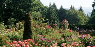 The stunning natural scenery of Portland, Oregon, inspires a sense of great majesty with boutiques and businesses that mingle in this bustling city.