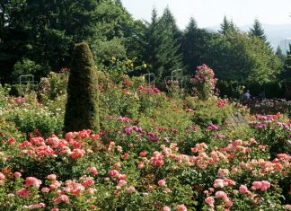 The stunning natural scenery of Portland, Oregon, inspires a sense of great majesty with boutiques and businesses that mingle in this bustling city.