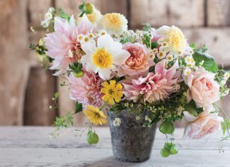 Capture the beauty of the season with this romantic bouquet, created by floral designer Erin Benzakein. Follow Erin’s step-by-step instructions on how to assemble this lovely summertime arrangement.