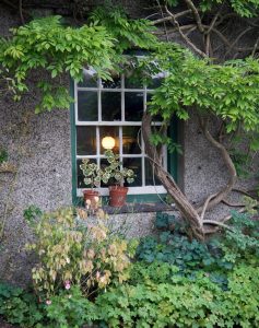 A window peering over a garden view