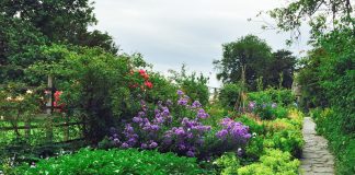 This year makes the 150th celebration of Beatrix Potter's birth. We honor the legacy of this beloved children’s author, artist, and conservationist.
