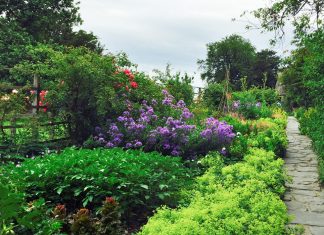 This year makes the 150th celebration of Beatrix Potter's birth. We honor the legacy of this beloved children’s author, artist, and conservationist.