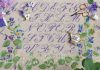 Threads of Success: The French Needle After years of shopping in France for beautiful needlework fabrics to nurture her love of embroidery, Lisa Dugua established The French Needle.