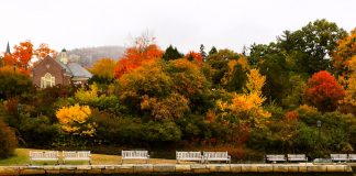 Seasonal Splendor