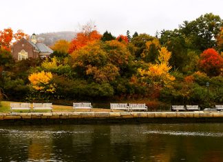 Seasonal Splendor