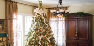 Grand Victorian Spirit