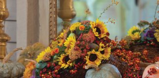 The Season of Gratitude