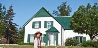 The Top Ten Posts of 2016