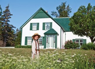 The Top Ten Posts of 2016