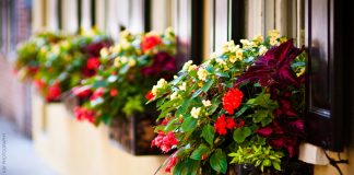 Planning Your Bliss March 2017