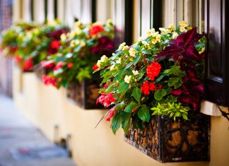 Planning Your Bliss March 2017