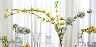 Blooming Bouquets: An Indoor Garden