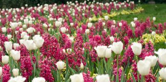 Planning Your Bliss: April