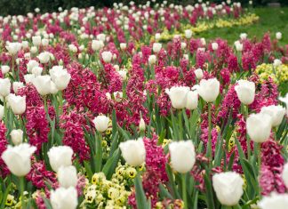 Planning Your Bliss: April
