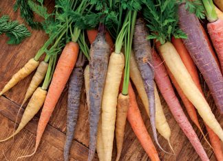 Carrot Weight