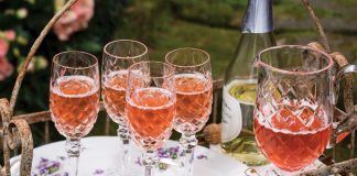 Sparkling Pink Grapefruit Cocktail