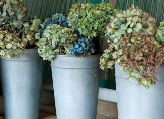Gardener’s Delight