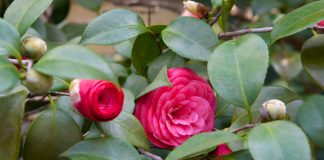 Planning Your Bliss: May/June 2017