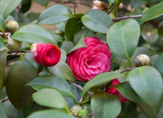 Planning Your Bliss: May/June 2017