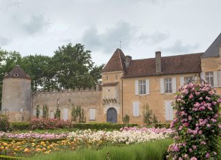 Of Rare Vintage: Château d’Yquem Estate