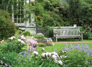 Victoria Classics’ Flowers and Gardens