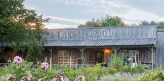 How to Save Seeds for a Bountiful Harvest