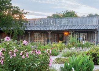How to Save Seeds for a Bountiful Harvest