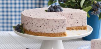 Blueberry Frozen-Yogurt Pie