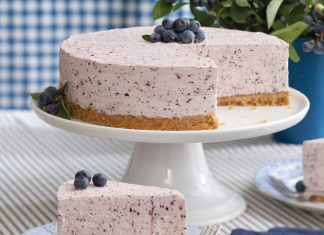 Blueberry Frozen-Yogurt Pie