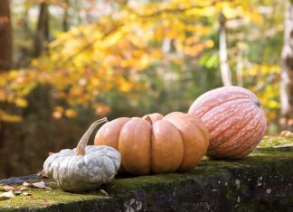 Decorating with Pumpkins