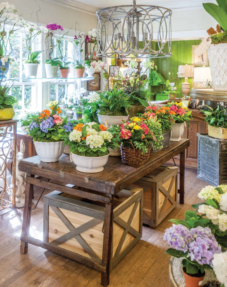 Discover the Charm of Boxwoods Boutiques