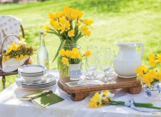 Among the Daffodils