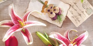 The Language of Flowers by Ella Quinn