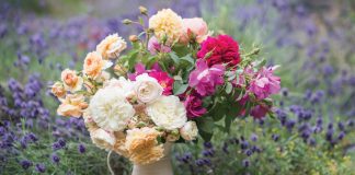 Lady Heroes: Honoring Remarkable Women