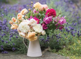 Lady Heroes: Honoring Remarkable Women