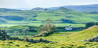 A Lady’s Honor by A.S. Fenichel