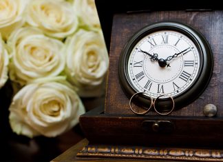 The Companion’s Secret by Susanna Craig