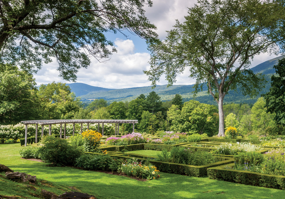 Among Hills of Green