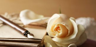 Viscount_FeatureImage