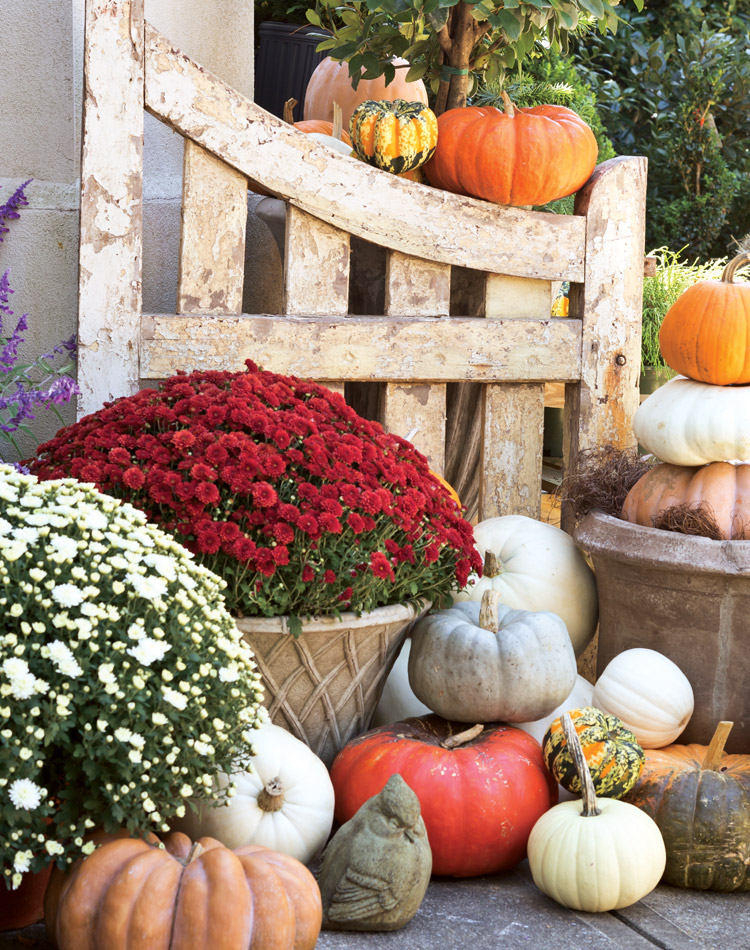 An Autumn Bliss Preview