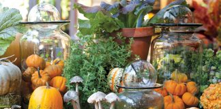 An Autumn Bliss Preview